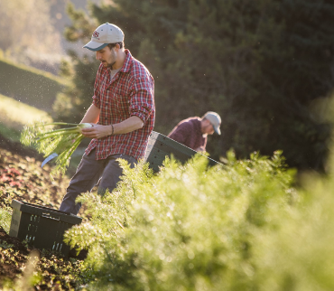 UBC farm food growing