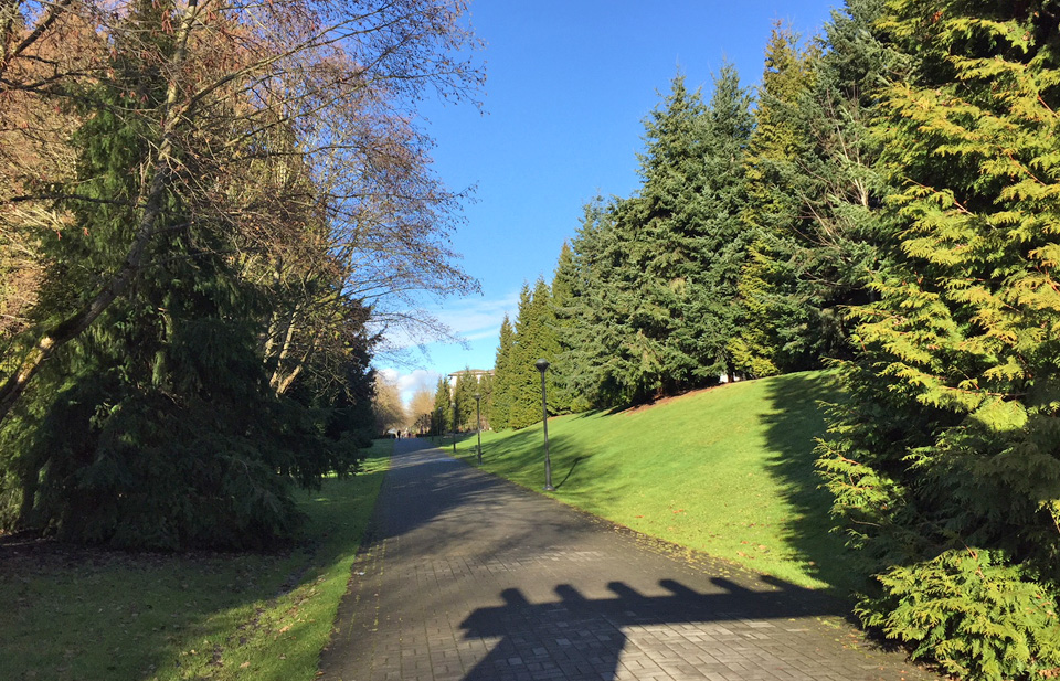 jan18 stadium rhodo-2