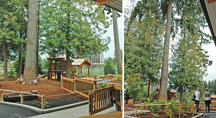 Tall trees in the playground.