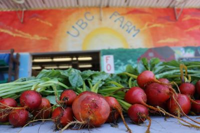 UBC Farm