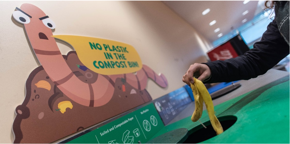 worms and banana peel