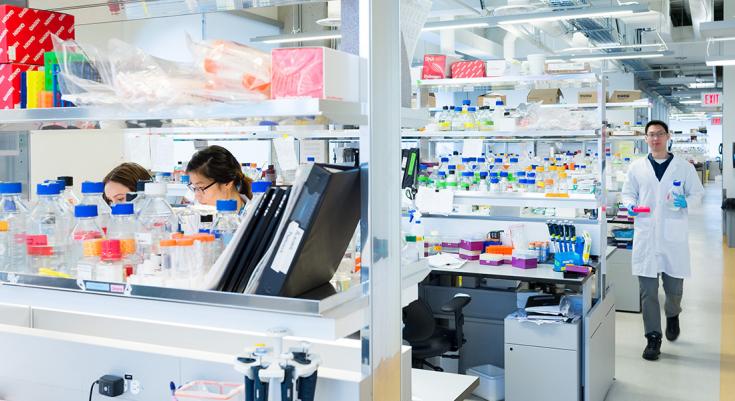 Lab ACT banner image