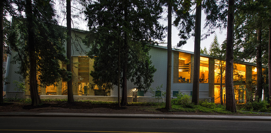 Photo of trees in front of a building