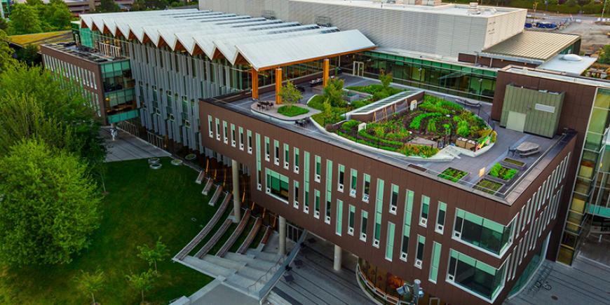 Rooftop garden in the Nest
