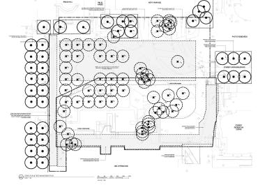 Recreation Centre North Tree Management Plan