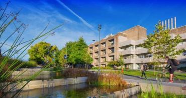 Cascading water feature