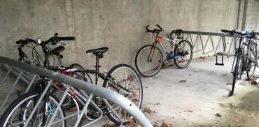 AERL bike story banner 2