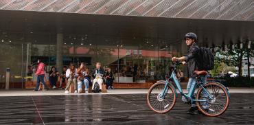 Zygg Model A Cropped 